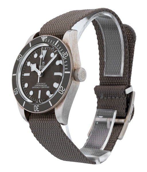 Tudor Black Bay 58 M79010SG-0002